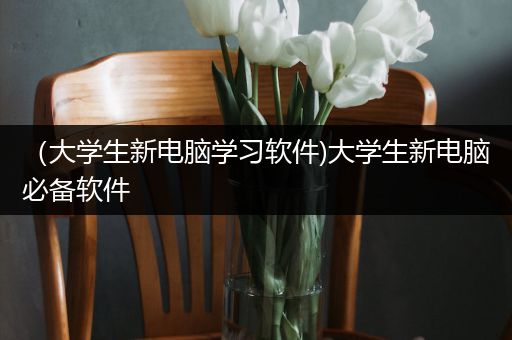 （大学生新电脑学习软件)大学生新电脑必备软件