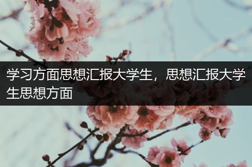 学习方面思想汇报大学生，思想汇报大学生思想方面