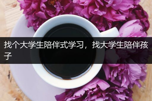 找个大学生陪伴式学习，找大学生陪伴孩子