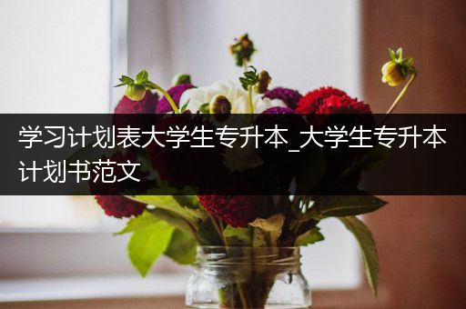 学习计划表大学生专升本_大学生专升本计划书范文