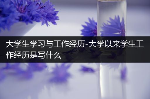 大学生学习与工作经历-大学以来学生工作经历是写什么