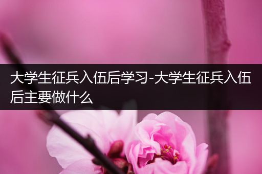 大学生征兵入伍后学习-大学生征兵入伍后主要做什么