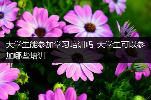 大学生能参加学习培训吗-大学生可以参加哪些培训