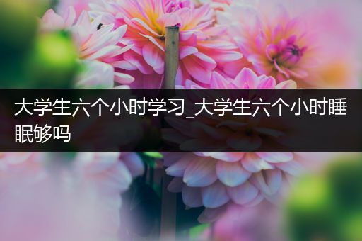 大学生六个小时学习_大学生六个小时睡眠够吗