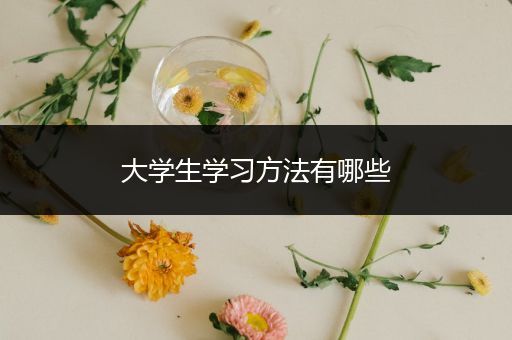 大学生学习方法有哪些