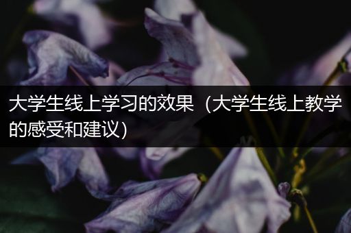 大学生线上学习的效果（大学生线上教学的感受和建议）