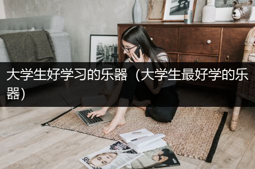 大学生好学习的乐器（大学生最好学的乐器）