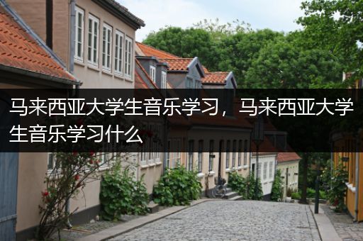 马来西亚大学生音乐学习，马来西亚大学生音乐学习什么