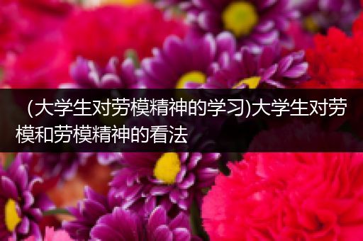 （大学生对劳模精神的学习)大学生对劳模和劳模精神的看法