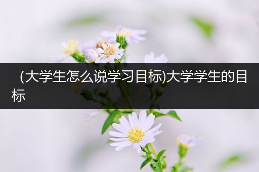 （大学生怎么说学习目标)大学学生的目标