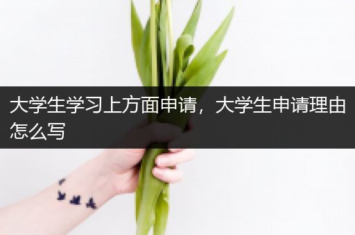 大学生学习上方面申请，大学生申请理由怎么写