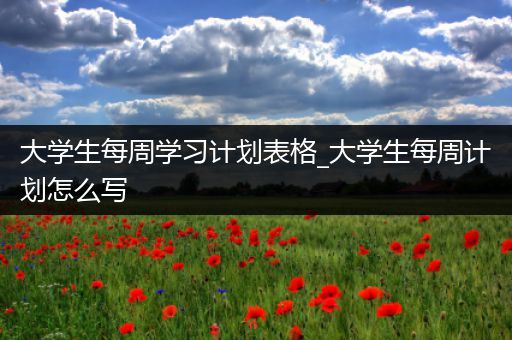 大学生每周学习计划表格_大学生每周计划怎么写