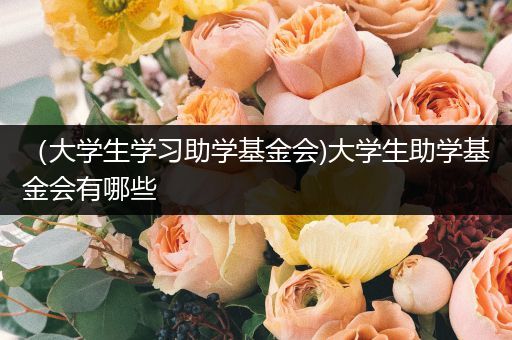 （大学生学习助学基金会)大学生助学基金会有哪些