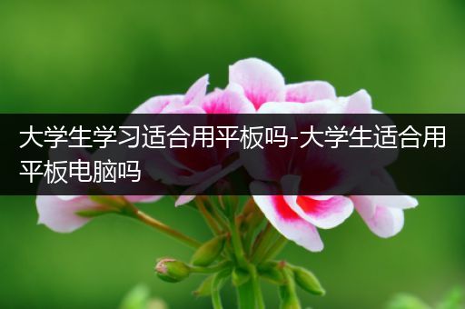 大学生学习适合用平板吗-大学生适合用平板电脑吗