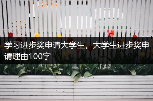 学习进步奖申请大学生，大学生进步奖申请理由100字