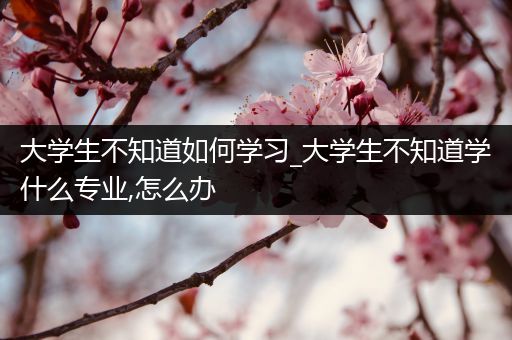 大学生不知道如何学习_大学生不知道学什么专业,怎么办