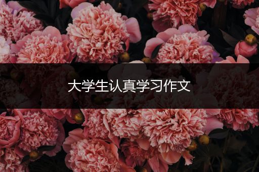 大学生认真学习作文