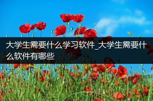 大学生需要什么学习软件_大学生需要什么软件有哪些