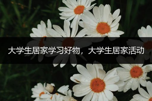 大学生居家学习好物，大学生居家活动