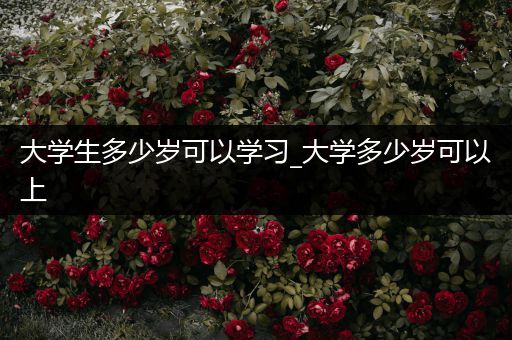 大学生多少岁可以学习_大学多少岁可以上
