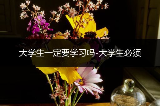 大学生一定要学习吗-大学生必须