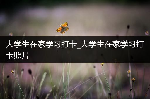 大学生在家学习打卡_大学生在家学习打卡照片
