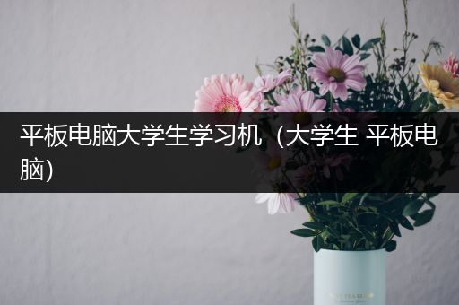 平板电脑大学生学习机（大学生 平板电脑）