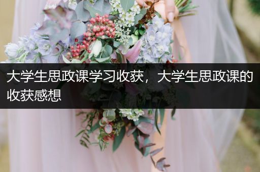 大学生思政课学习收获，大学生思政课的收获感想