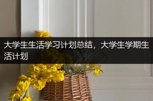 大学生生活学习计划总结，大学生学期生活计划