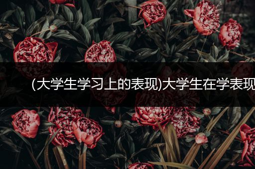 （大学生学习上的表现)大学生在学表现