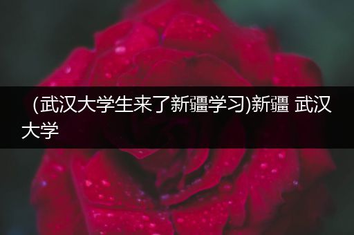 （武汉大学生来了新疆学习)新疆 武汉大学