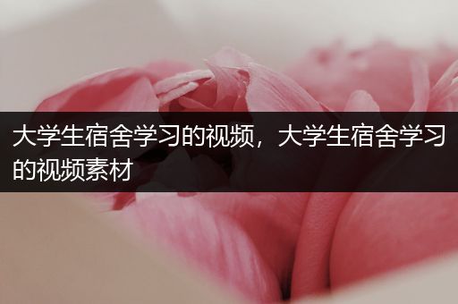 大学生宿舍学习的视频，大学生宿舍学习的视频素材