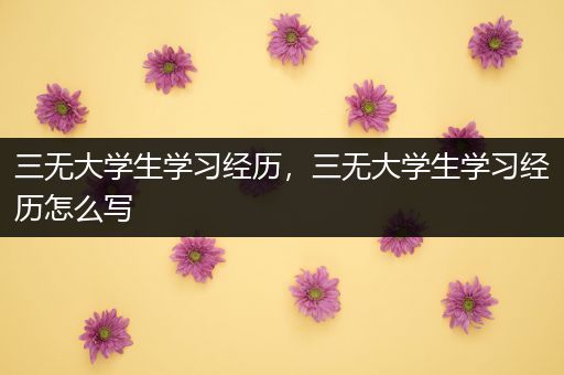 三无大学生学习经历，三无大学生学习经历怎么写