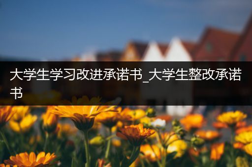 大学生学习改进承诺书_大学生整改承诺书