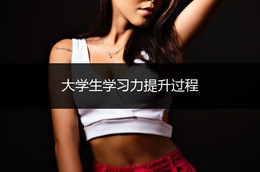 大学生学习力提升过程