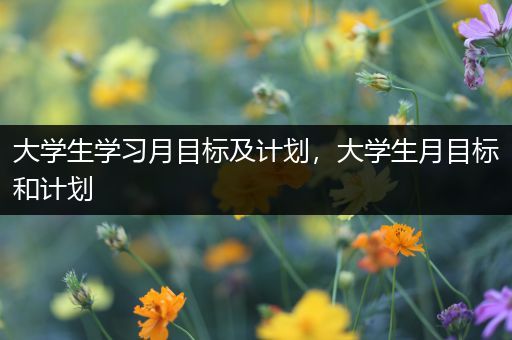 大学生学习月目标及计划，大学生月目标和计划