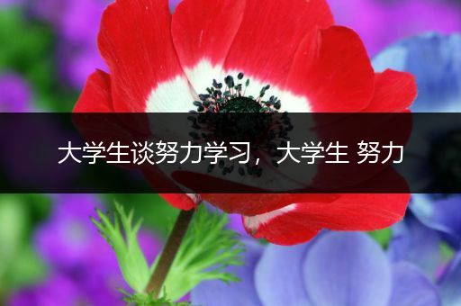 大学生谈努力学习，大学生 努力