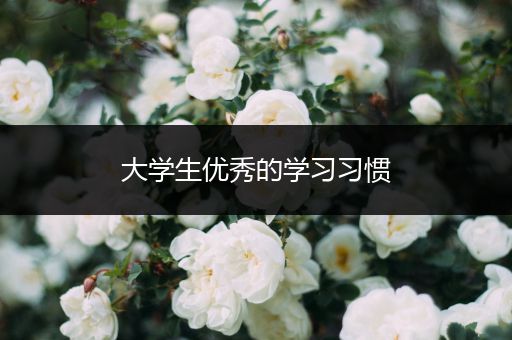 大学生优秀的学习习惯