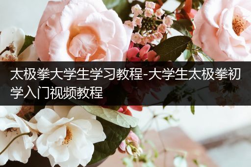 太极拳大学生学习教程-大学生太极拳初学入门视频教程