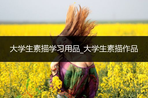大学生素描学习用品_大学生素描作品