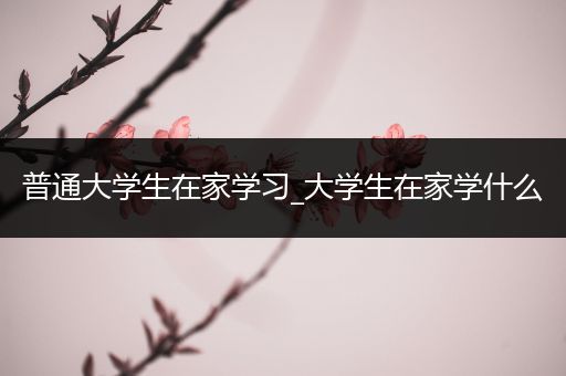 普通大学生在家学习_大学生在家学什么