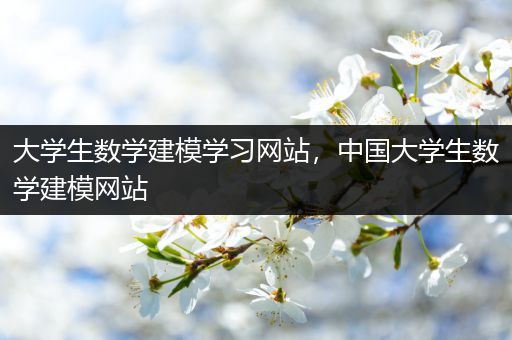 大学生数学建模学习网站，中国大学生数学建模网站