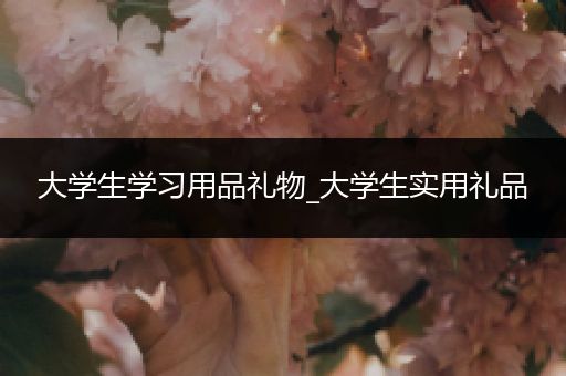 大学生学习用品礼物_大学生实用礼品