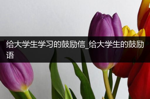 给大学生学习的鼓励信_给大学生的鼓励语