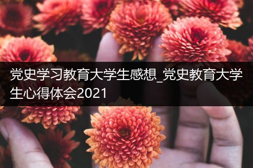 党史学习教育大学生感想_党史教育大学生心得体会2021