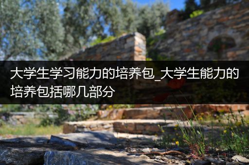 大学生学习能力的培养包_大学生能力的培养包括哪几部分