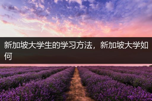 新加坡大学生的学习方法，新加坡大学如何