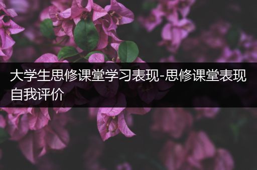大学生思修课堂学习表现-思修课堂表现自我评价