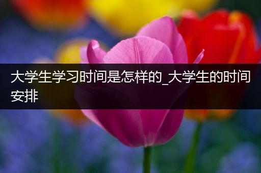 大学生学习时间是怎样的_大学生的时间安排