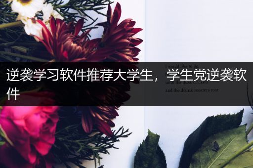 逆袭学习软件推荐大学生，学生党逆袭软件